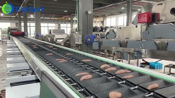 Sweet potato optical sorting system, accurate and efficient grading method
