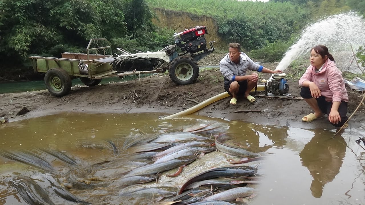 Top fishing video, harvesting - Cleverly use the pump to suck water in ...