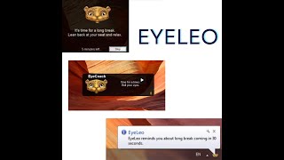 Protect Your Eyes with EyeLeo | Eye protecting Software | Reduce Eye Strain On Screen screenshot 4