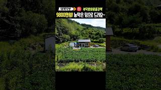 0110_9,800만원!! 농막과 창고는 덤으로 따라오는 주말농장의 정석 #강원도전원주택#세컨하우스
