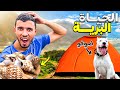 الحياة البرية تحدي طبخ جغلة البحر طبخ على طريقة العيش الحر طعم رهيب 
