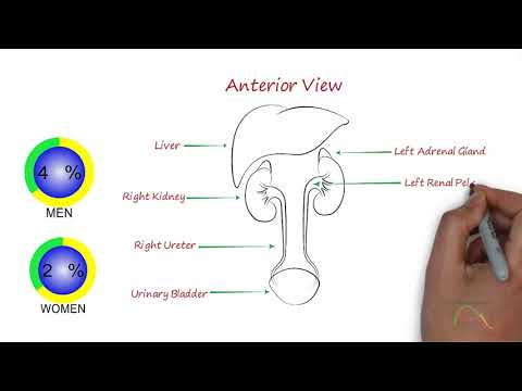 Renal Colic  -  Part 1 of 3