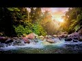 Relaxing River Sounds for Sleep | 10 Hours of Nature White Noise and Deep Relaxation