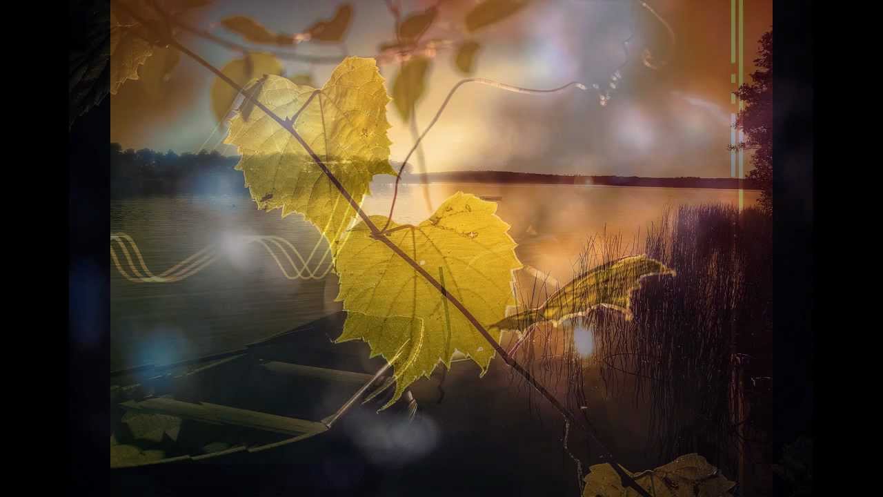 The Thrillseekers - Synaesthesia