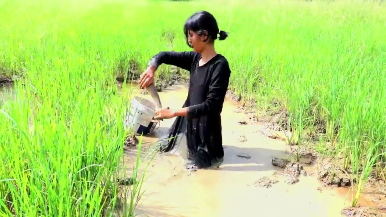 Catch Em All Fishing Wild GirlCatching fish by hand in the field YouTube