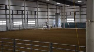 Ranch Horse Versatility - Juniors