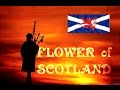 Flower of scotland royal scots dragoon guards