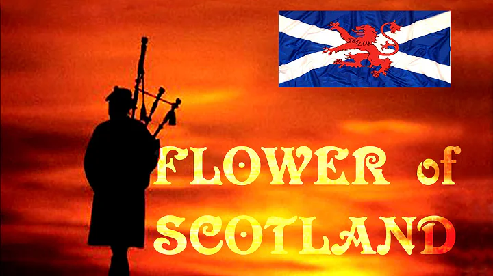 FLOWER OF SCOTLAND ROYAL SCOTS DRAGOON GUARDS