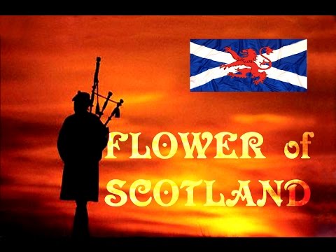 â¡ï¸FLOWER OF SCOTLAND â¡ï¸ROYAL SCOTS DRAGOON GUARDSâ¡ï¸