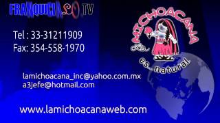 Franquicia La Michoacana