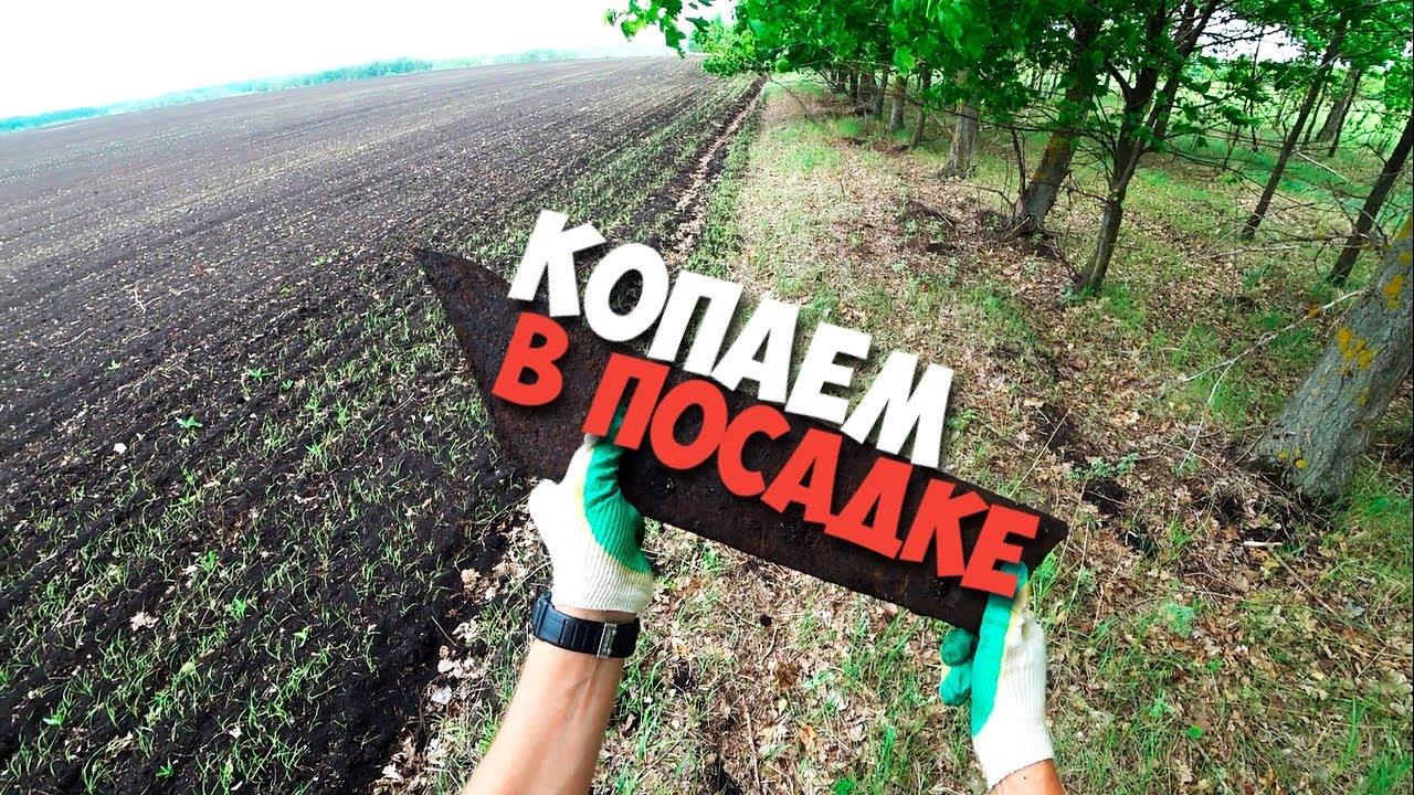 ⁣Копаем металл в посадке. Коп 2019