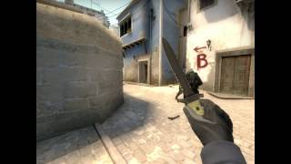 Ace from p2000 5hs