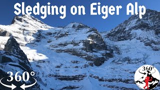 Sledging (Toboggan) down Mt. Eiger in Switzerland to Kleine Scheidegg (Daily 360° VR Video)