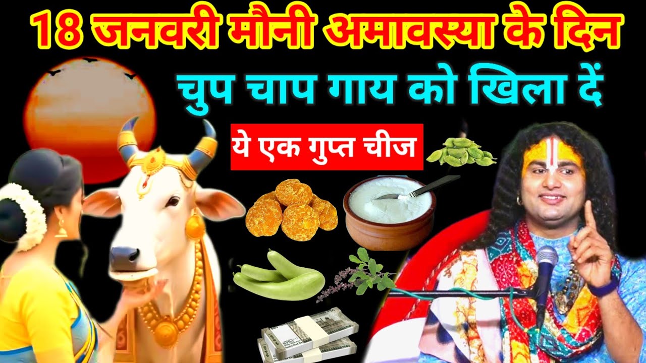 18 जनवरी मौनी अमावस्या के दिन चुपचाप गाय को खिला दें 1 चीज इतना 😱 धन आएगा कि ।