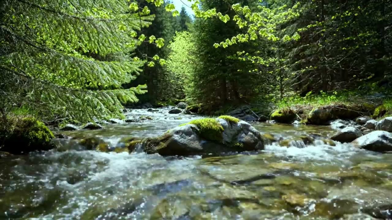 HispersRiver Nature Relaxation  Calm River Stream with Birds Chirping