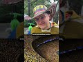 LA HINCHADA COLOMBIANA REACCIONA A LA MAREA AMARILLA 😍🇨🇴