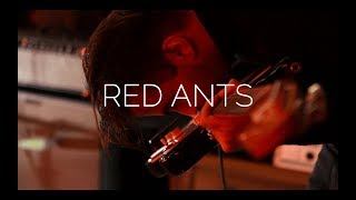 Neufchâtel - Red Ants (Live at Deaftone Studios)