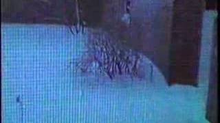 New York Snowstorm, February 11, 1983