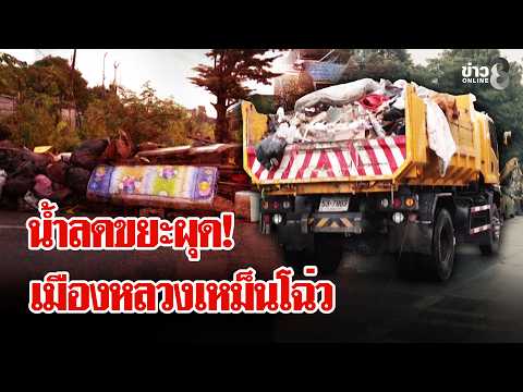 Mountains of Garbage in the City: Racing to Recover After the Flood, Residents Can't Stand the Fo...