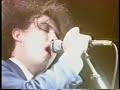 The cure  primary live 1984