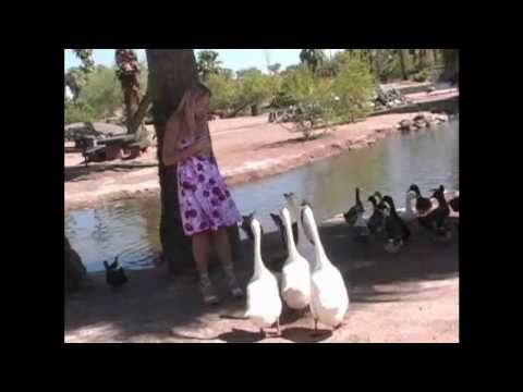 Alison Angel-Teasing the Ducks
