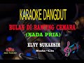 Karaoke Bulan Di Ranting Cemara Nada Pria - Elvy Sukaesih (Karaoke Dangdut Tanpa Vocal)