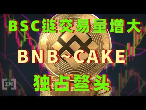 bsc链交易量超过solana链,币安链原生代币bnb逆势大涨,cake也跟随独占鳌头,bnb接下来还会涨多少,cake有多大机会#bnb # ...