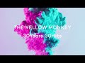 The yellow monkey  jam 2022 remaster official audio