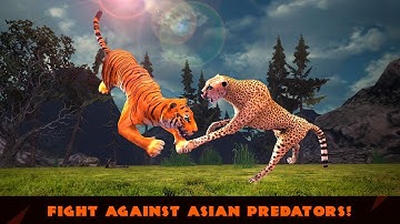 Wild Jungle Tiger Fighting Real Kung Fu Battle Gameplay Video Android/iOS