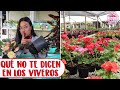 Lo que los viveros no quieren que sepas 3 COSAS QUE NO TE DICEN │Candy Bu