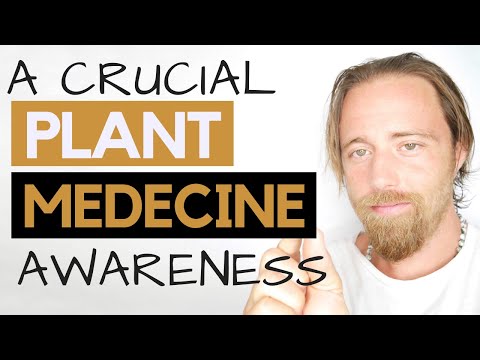 plant-medicine,-don't-make-this-mistake