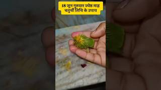 18 जून गुरूबार ज्येष्ठ माह चतुर्थी तिथि के उपाय #fortunetelling #facts #devotional