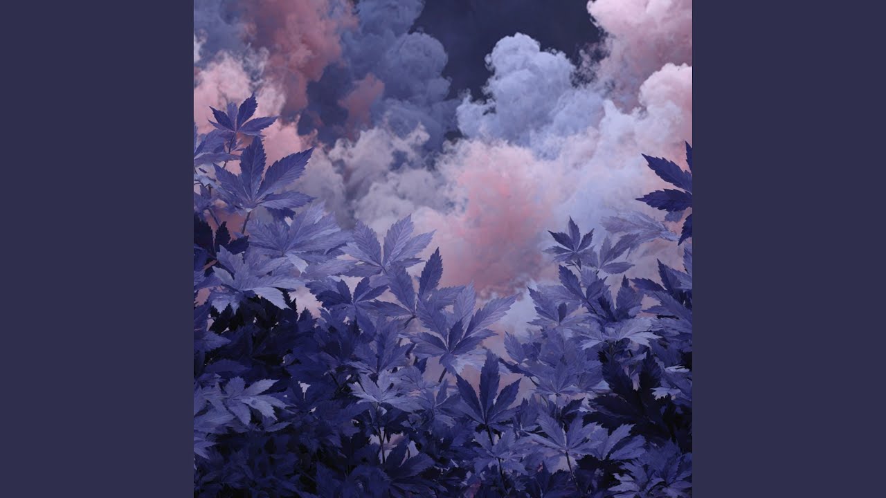 Five Celestial Echoes