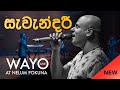 Wayo live  savendaree 