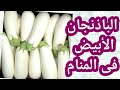 تفسير رؤية الباذنجان الابيض في المنام للحامل والمتزوجة والعزباء والمطلقة والأرملة والرجل والشاب 