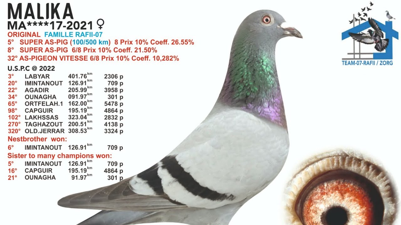 اليوم الرابع في علاج الاضينو كولي الحمد لله كلشي على مايرام