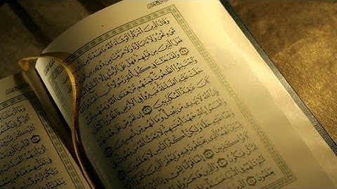 سورة فصلت لتويد الشيخ:هيثم الدخين