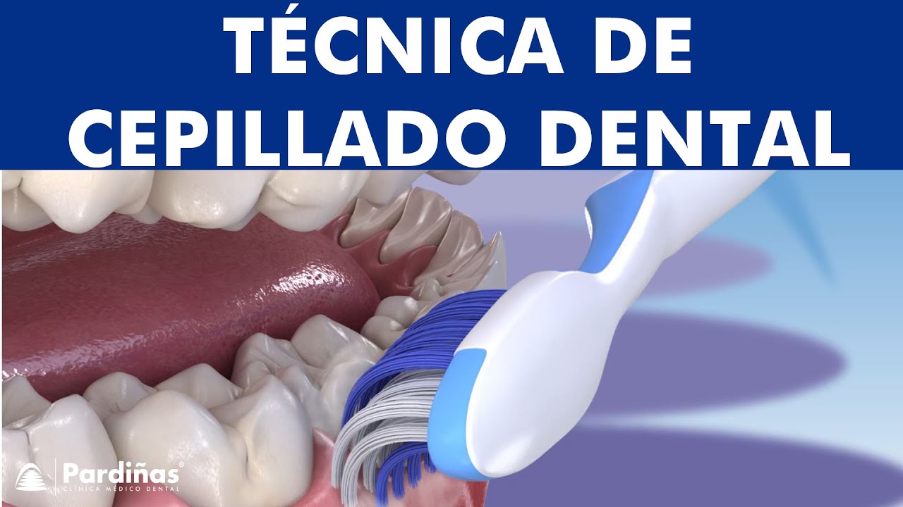 plato pétalo de ahora en adelante La mejor técnica para CEPILLARSE los dientes - Bass Modificada © - YouTube