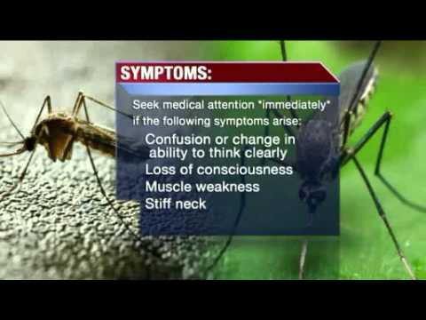 Tips to Avoid the West Nile Virus