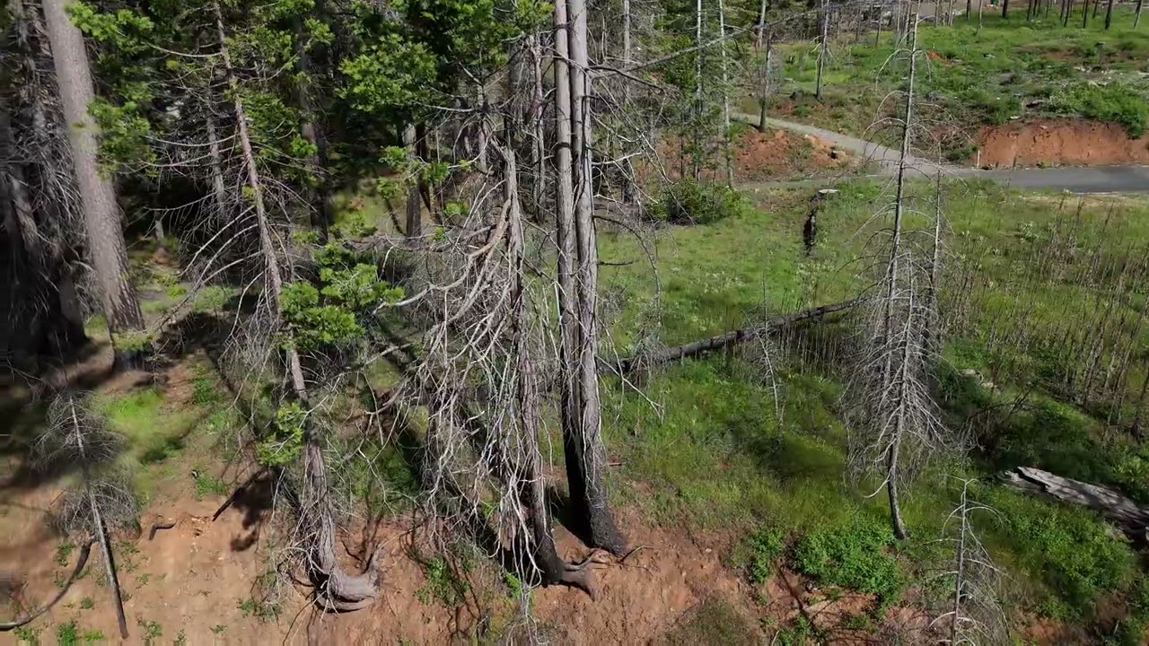 4K_7006 and 6988 Tyler Dr, Somerset, CA 95684