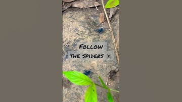 IF You