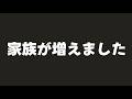 家族が増えました