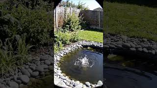 Their Backyard Pond Started Boiling Without Warning 😳