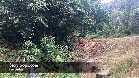 Some Pick up and Lay Down Casts