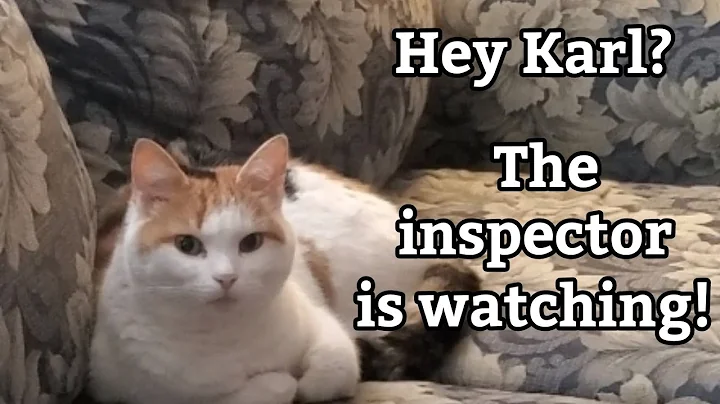 Hey Karl? The inspector is watching!!