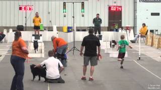 9th Annual Border Battle Bash Flyball tournament - Race 46 Saturday May 8th 2016