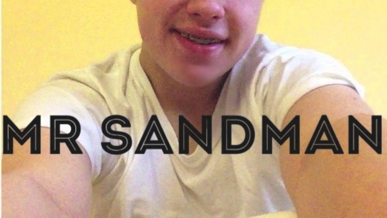 Mr sandman автокресло