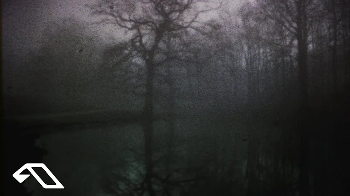 16BL, Wild Dark, Megan Morrison - Shadows On The W...