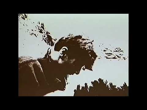 Hunters & Collectors — Hunters & Collectors - Talking To A Stranger [1983]