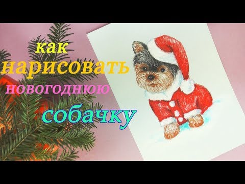 Вопрос: Как нарисовать йорка?